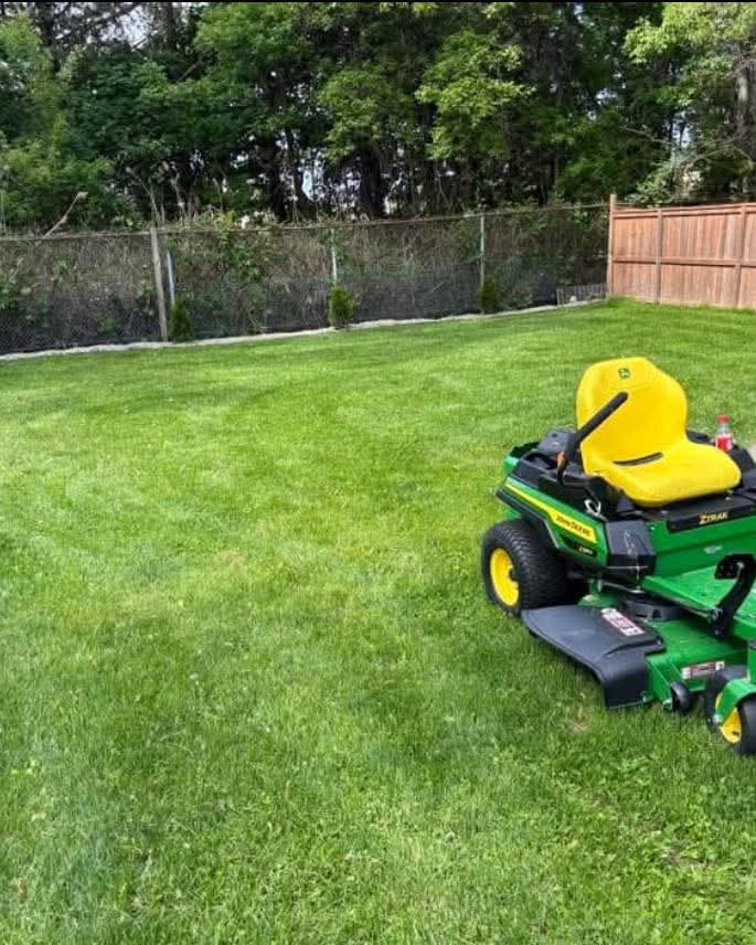 lawn maintenance